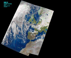 Composite MSA